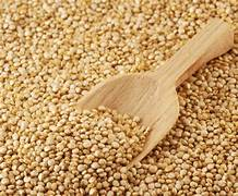 hạt quinoa là gì?