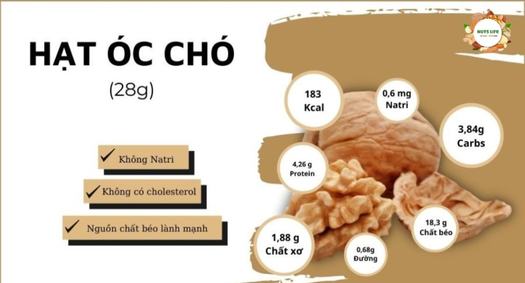 thành phần của hạt óc chó